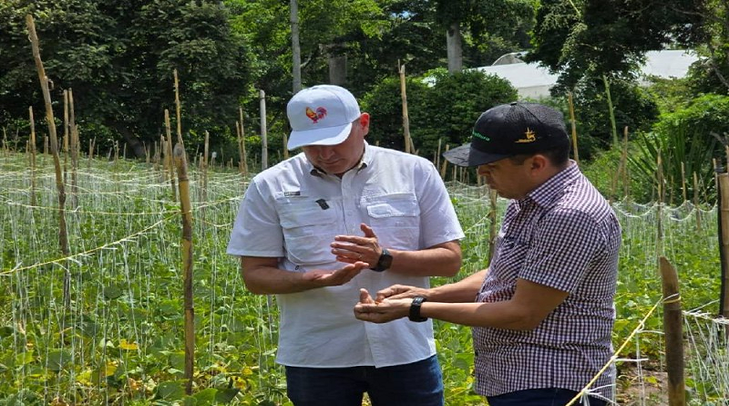 Productores ofrecen propuestas para el Plan Agrícola en Mérida